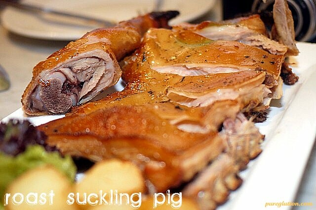 suckling pig