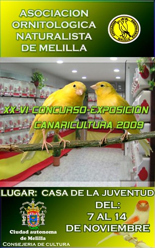 Concurso de canarios 2009