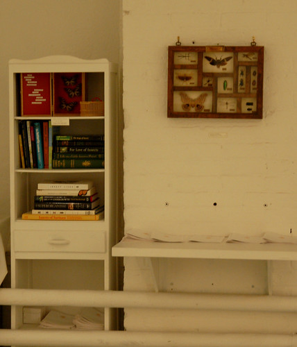 Insect Reference Library and Michelle Enemark's "Entomologia Cabinet"