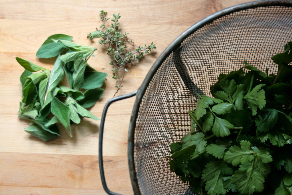 cilantro, oregano and thyme