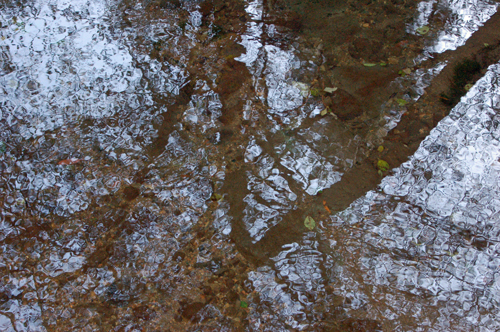 4a-trees-reflected-in-stream.jpg