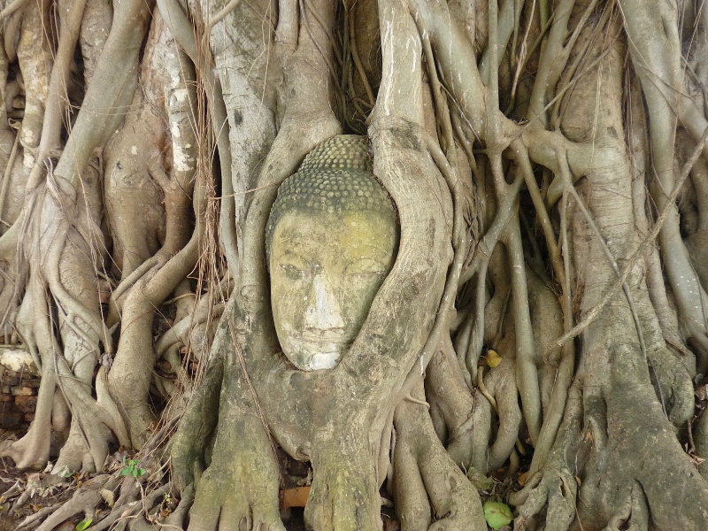 21 días de viaje por libre en Tailandia - Blogs de Tailandia - Ayutthaya (5)