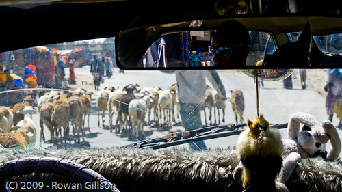 Herds of goats being shepherded through the streets is a common sight throughout Addis Ababa.