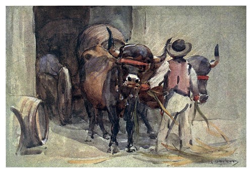 033- Una yunta de bueyes del Duero-Portugal its land and people- Ilustraciones de S. Roope Dockery 1909