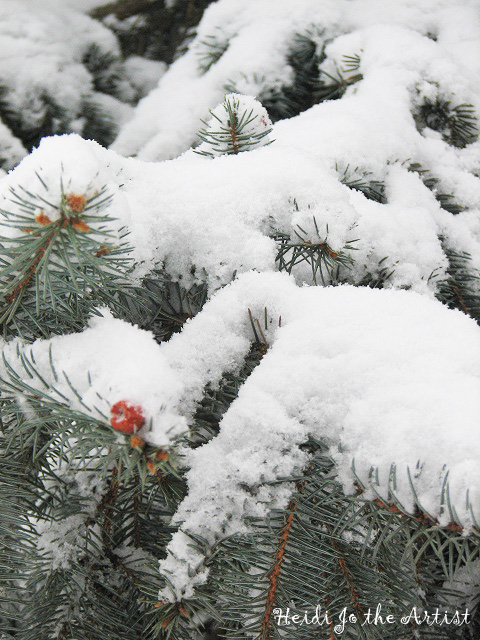 Pine Tree with Snow