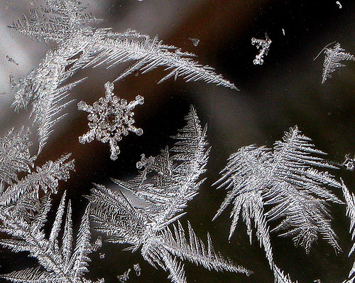 Ice Crystals & A Snowflake