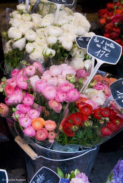Flower market, Paris