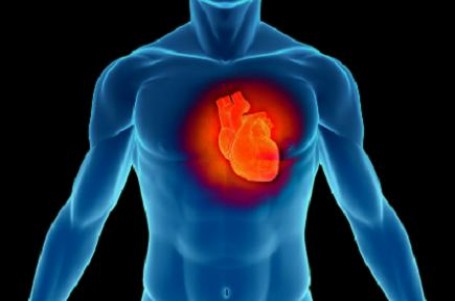 Náhlá úmrtí ve sportu: Rizika při zánětu srdečního svalu