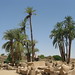 Temple of Karnak, outside the Hypostyle Hall to the north (2) by Prof. Mortel