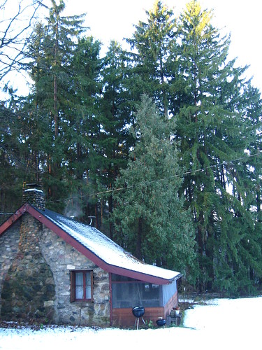 Cabin with snow