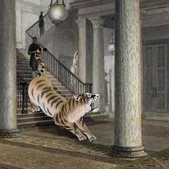 The Tiger in the Atheneum - link to image on flickr