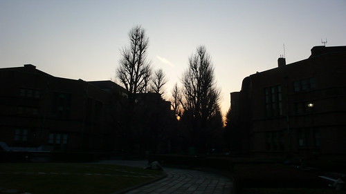 The University of Tokyo