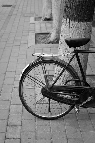 Bike (by niklausberger)