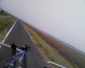 利根川サイクリングロードは天気のせいか殺風景・・ ・