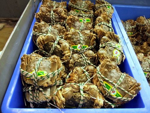 Shanghainese Crabs