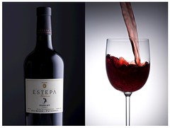 Estepa Merlot Red Wine Series