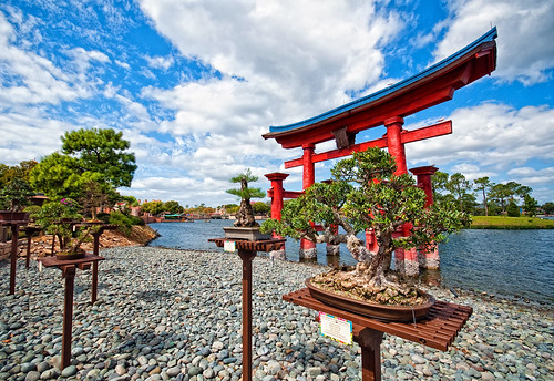 Bonsai And The Tori Gate by DisHippy