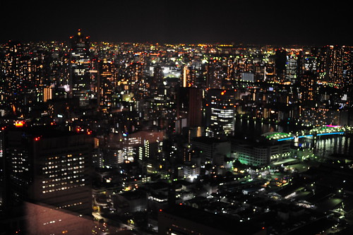 Bridview of Downtown Tokyo