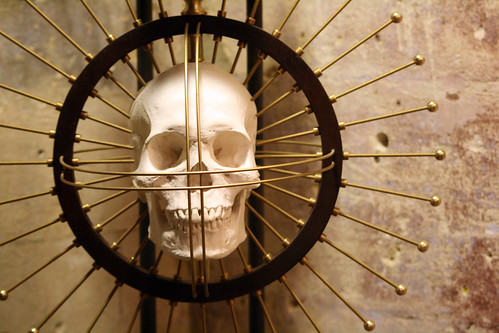 skull with metal rods