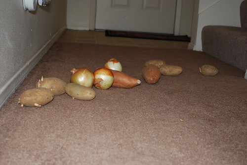 Potatoes in the Hallway