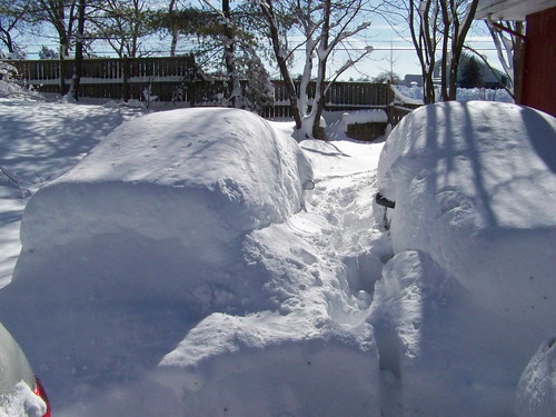 autos cubiertos en nieve