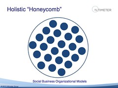 Holistic "Honeycomb"