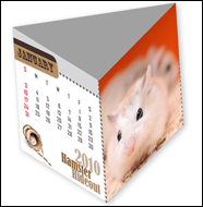 Hamster 2010 3D Calendar (January to April)