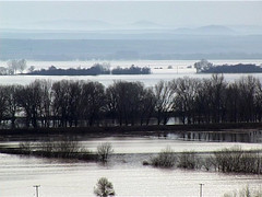Πλημμύρες στον Έβρο - 2010