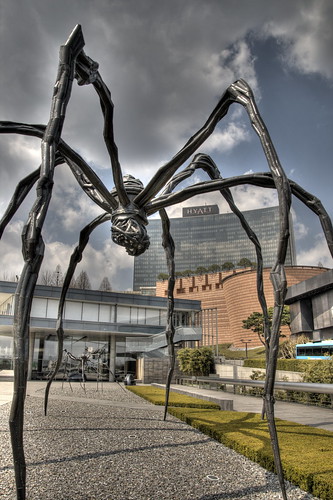 Spider HDR
