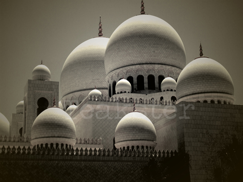 Shaykh Zayd Mosque - Domes, by Teakster