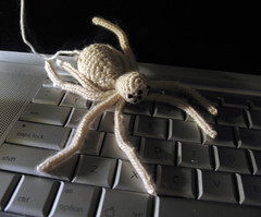 cashmere spider 1