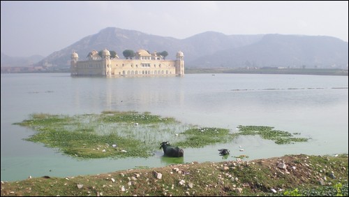 Jaipur's Jal Mahal (Water Palace)