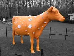 Painted Cow in Keukenhof Gardens, Holland
