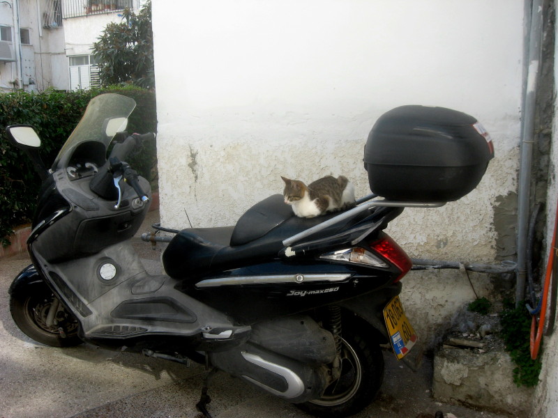 23-12-2009-kitty-on-moto2