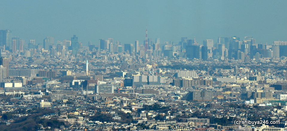 Tokyo skyline visible far away.