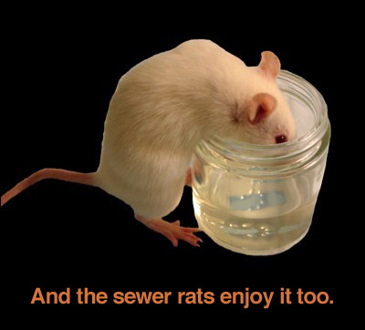 sewer-rat-drinks