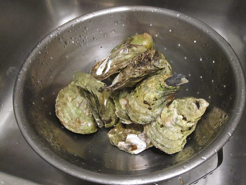 12 oysters from Marché Maisonneuve, $25