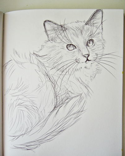 Kitty sketch 2