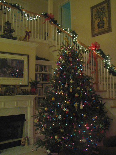Christmas Tree 09