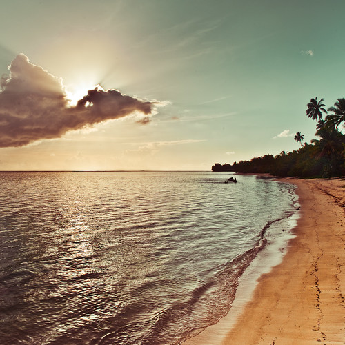 Tropical island palm tree / sun / sunlight / light / clouds / sea / sunset / natural light / retro / beach / ocean / wave / water ripple / vintage / summer / photography