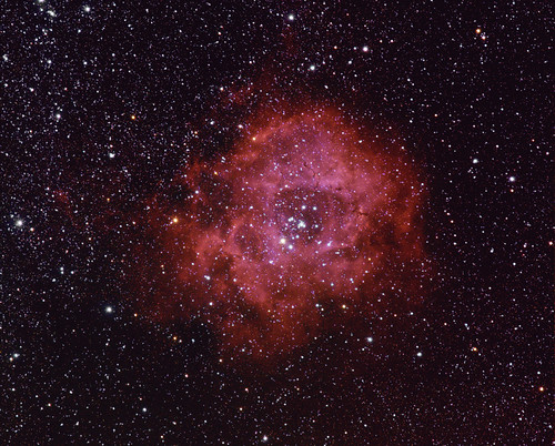 Andrea Tosatto: Rosette Nebula