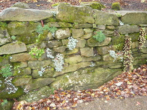 Drystone Wall Garden