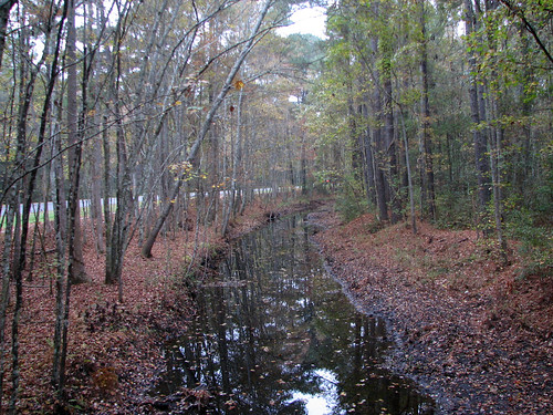 Great Swamp Santuary