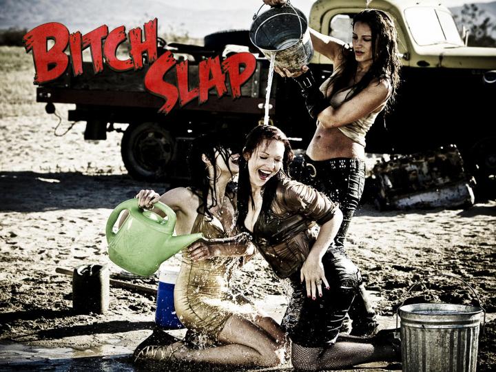 The plot of Bitch Slap such as it is involves three crazyhot and 