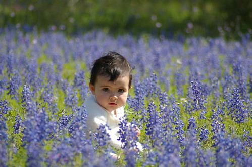 My girls in the bluebonnets, pt 2