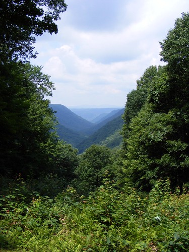 Babcock State Park view