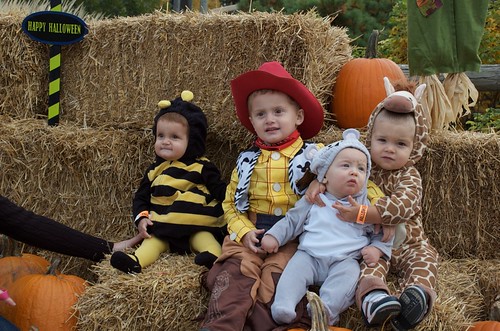 In case you can't tell...a bumble bee, Woody, a mouse and a giraffe!