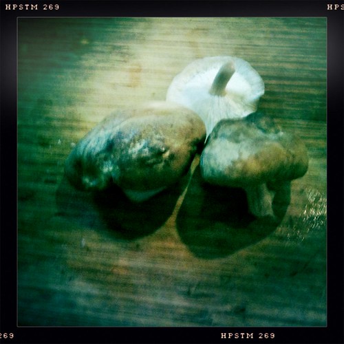 Shiitake mushrooms from FreshPicks.com