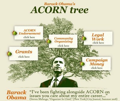 acorntree