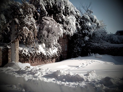 The Winifred Lutz Garden in Two Feet of Snow